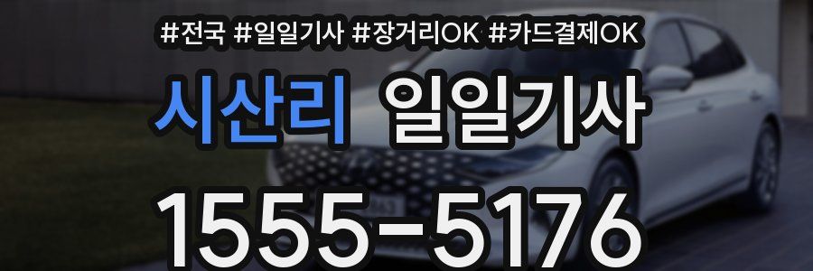 시산리 일일기사