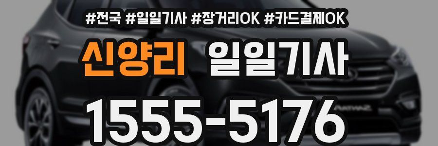 신양리 일일기사