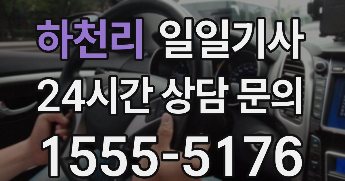 일일대리기사