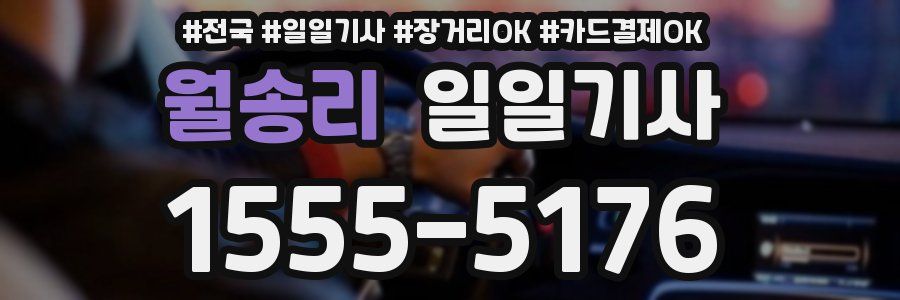 월송리 일일기사