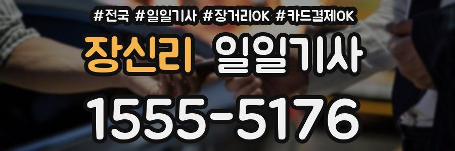 장신리 일일기사