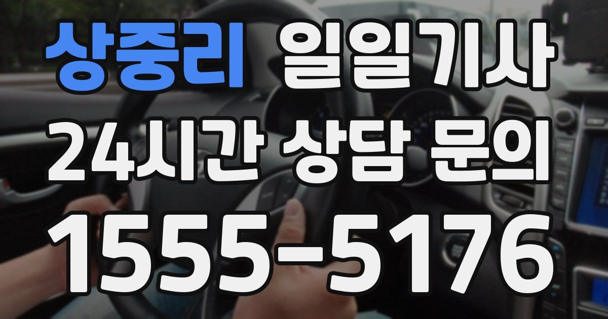 일일대리기사