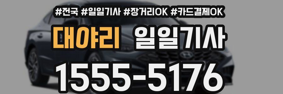 대야리 일일기사