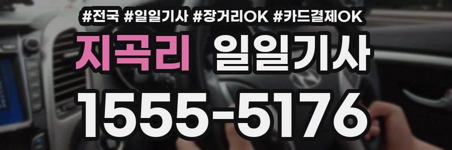 지곡리 일일기사