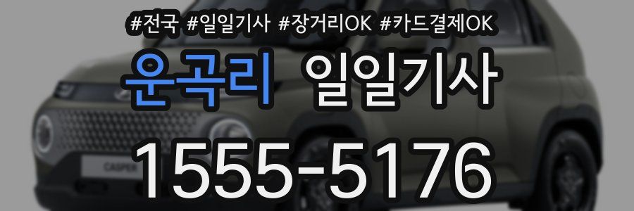 운곡리 일일기사