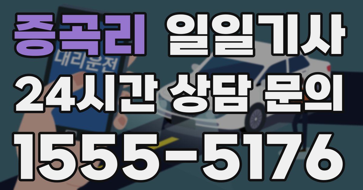 일일대리기사