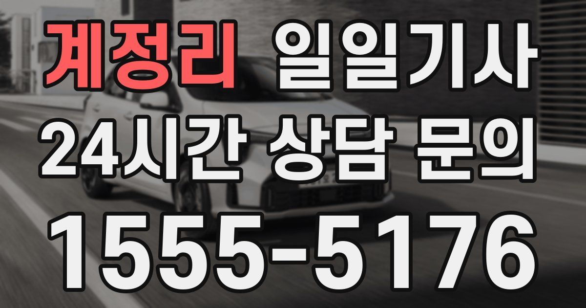 일일대리기사