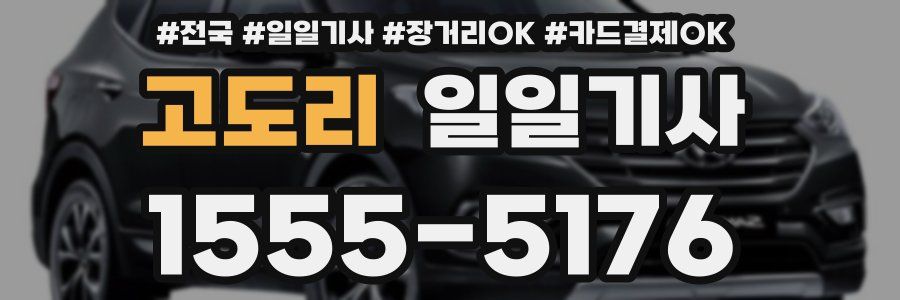 고도리 일일기사