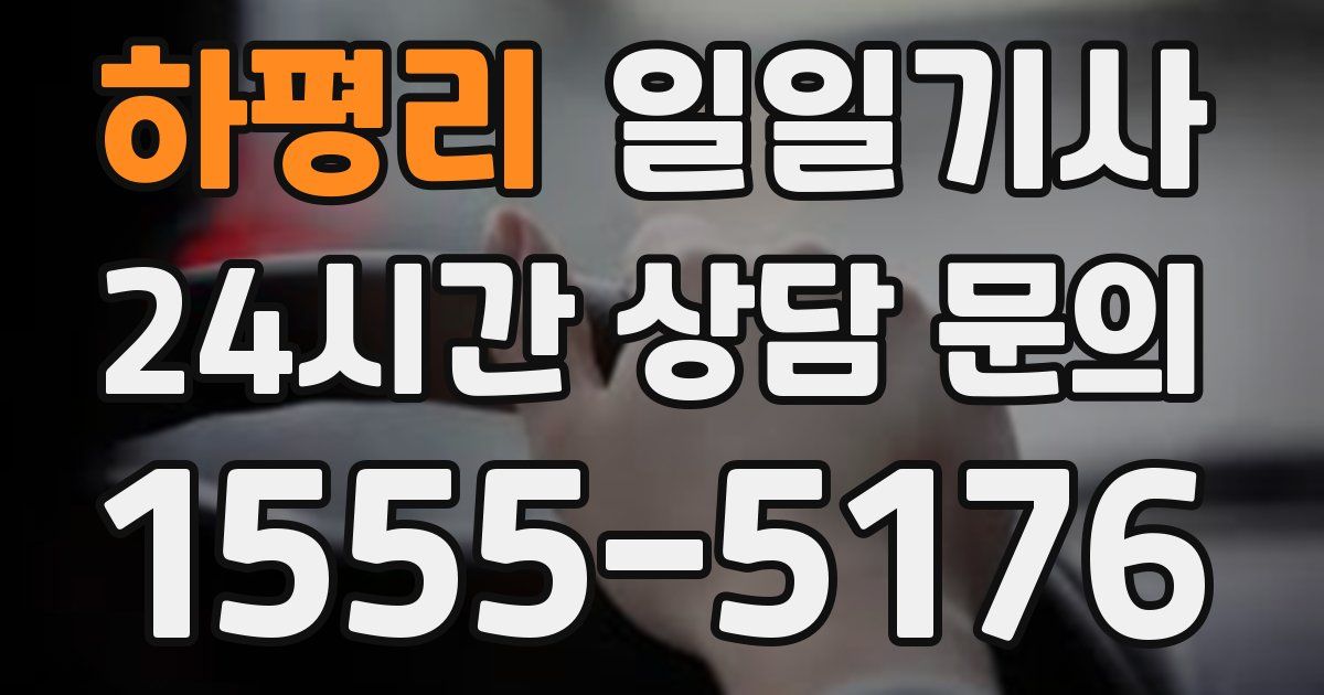 일일대리기사