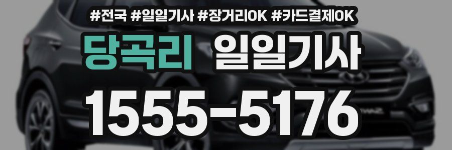 당곡리 일일기사