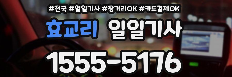 효교리 일일기사