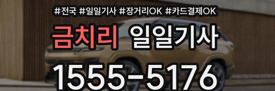 금치리 일일기사