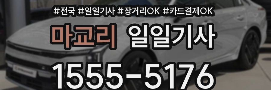 마교리 일일기사