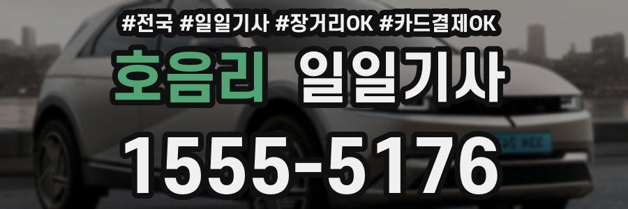 호음리 일일기사