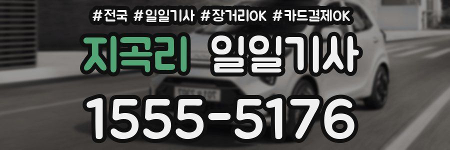 지곡리 일일기사