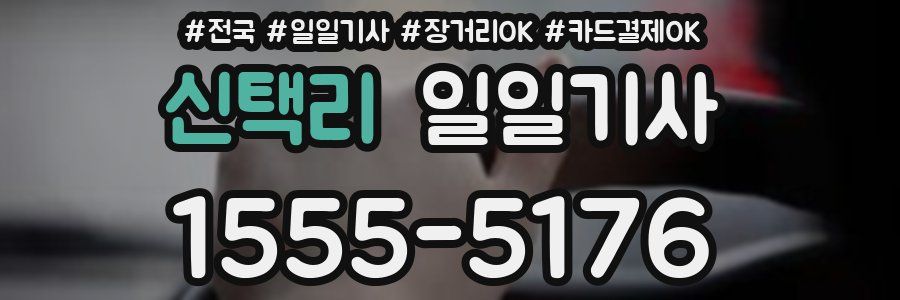 신택리 일일기사