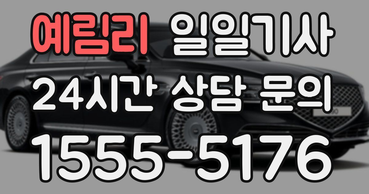 일일대리기사