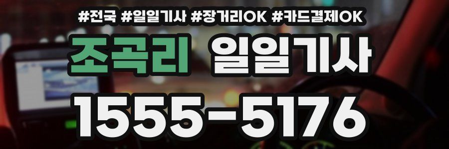 조곡리 일일기사