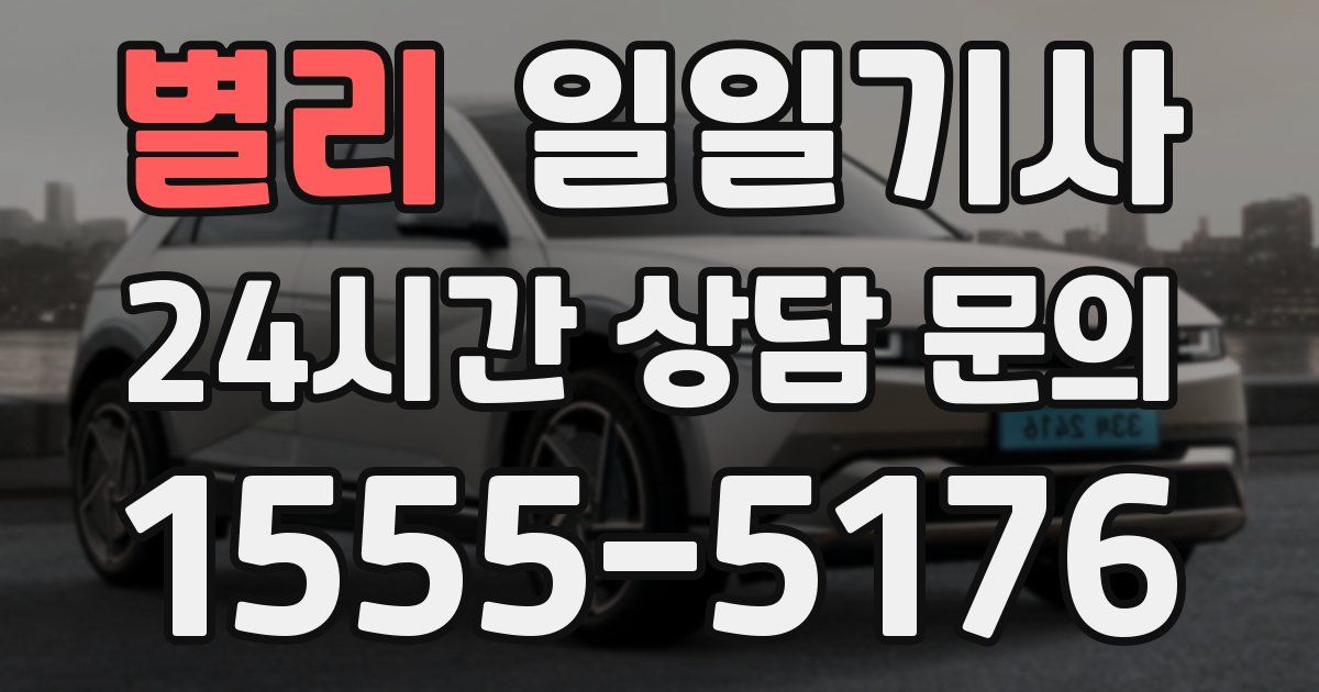 일일대리기사