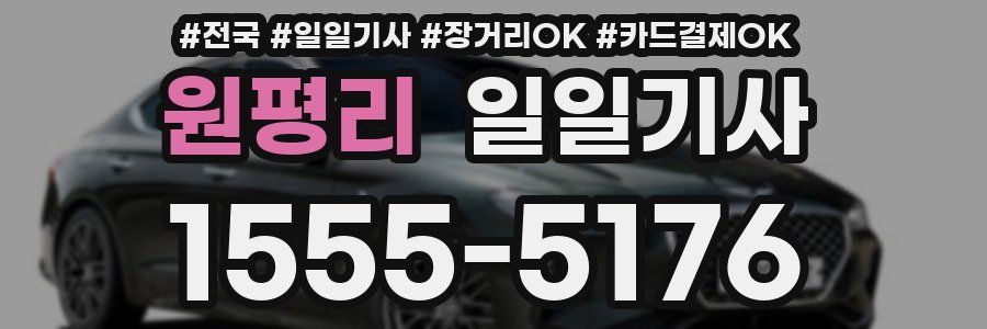 원평리 일일기사