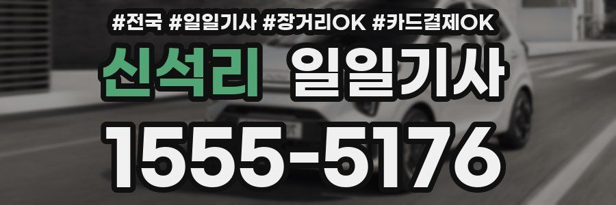 신석리 일일기사