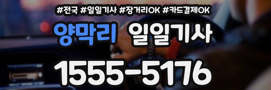 양막리 일일기사