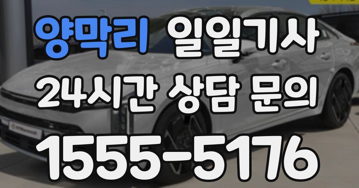 일일대리기사