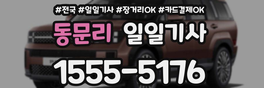 동문리 일일기사