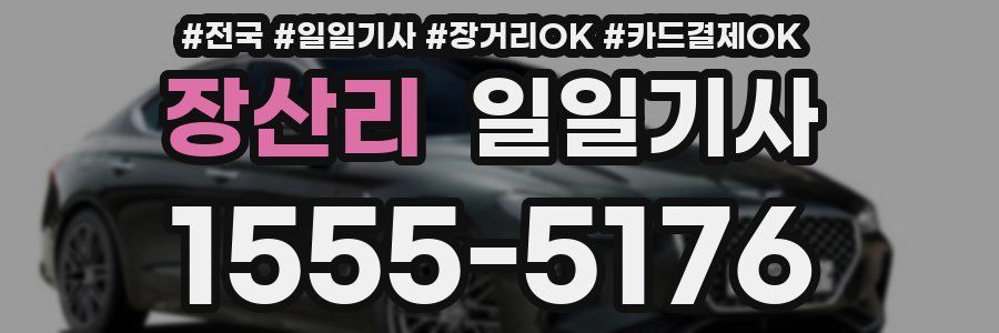 장산리 일일기사