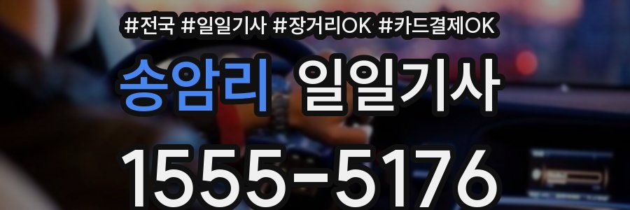 송암리 일일기사