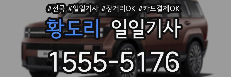 황도리 일일기사