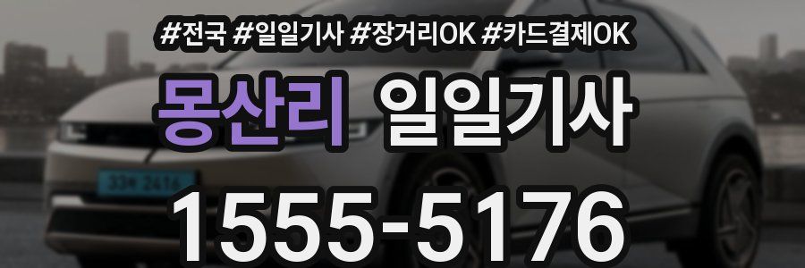 몽산리 일일기사