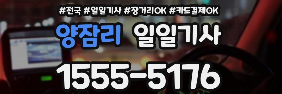 양잠리 일일기사