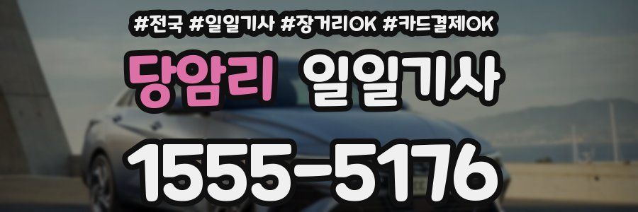 당암리 일일기사