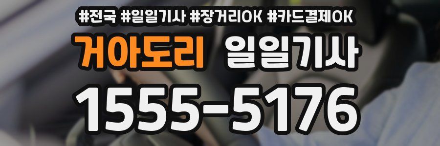 거아도리 일일기사