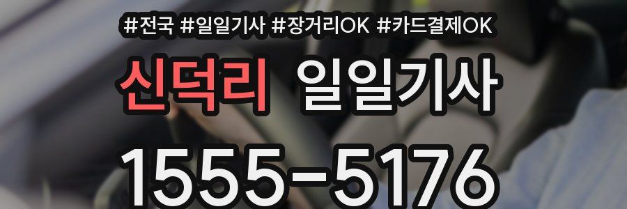 신덕리 일일기사