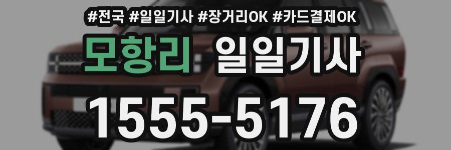 모항리 일일기사