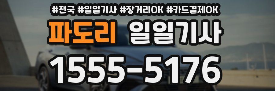 파도리 일일기사