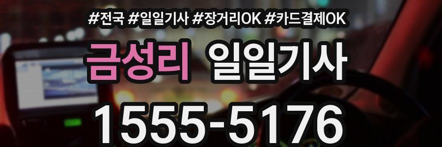 금성리 일일기사