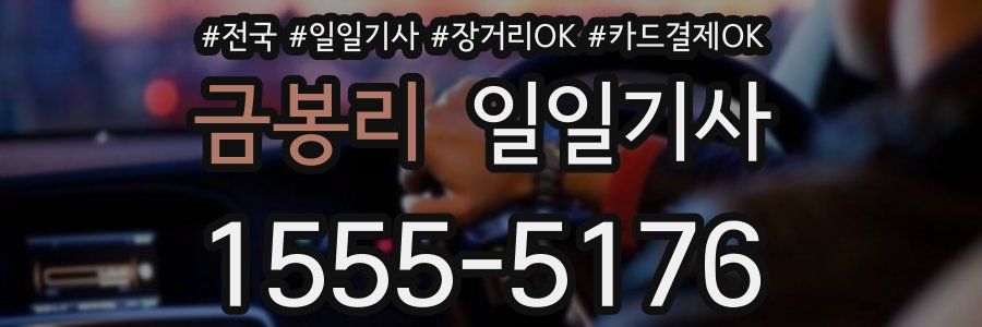 금봉리 일일기사