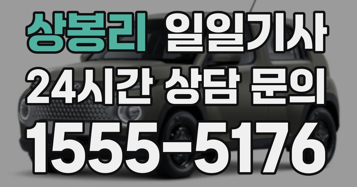 일일대리기사