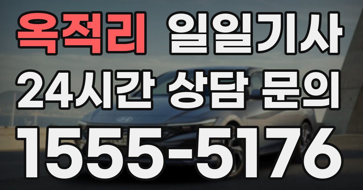 일일대리기사