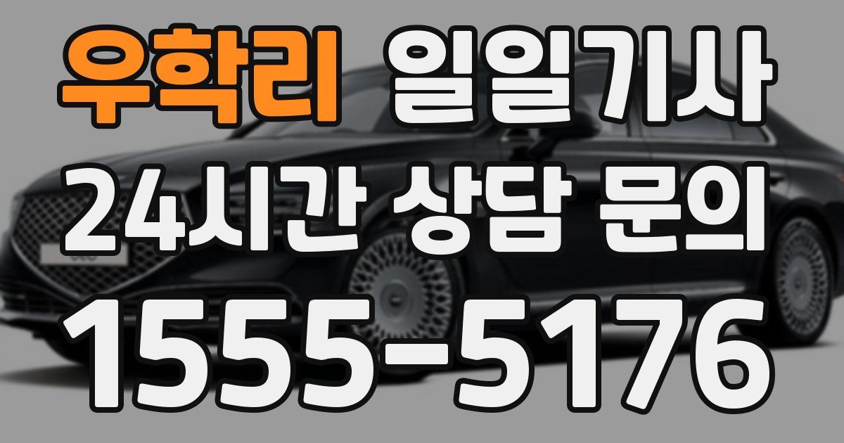 일일대리기사