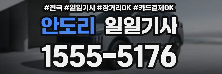 안도리 일일기사