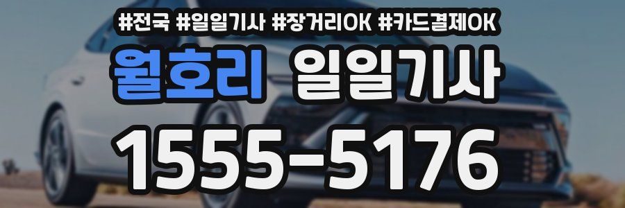 월호리 일일기사