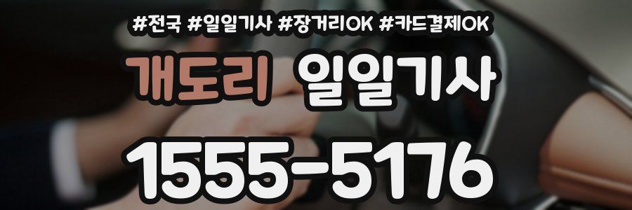 개도리 일일기사