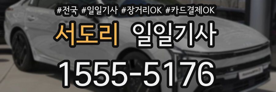 서도리 일일기사