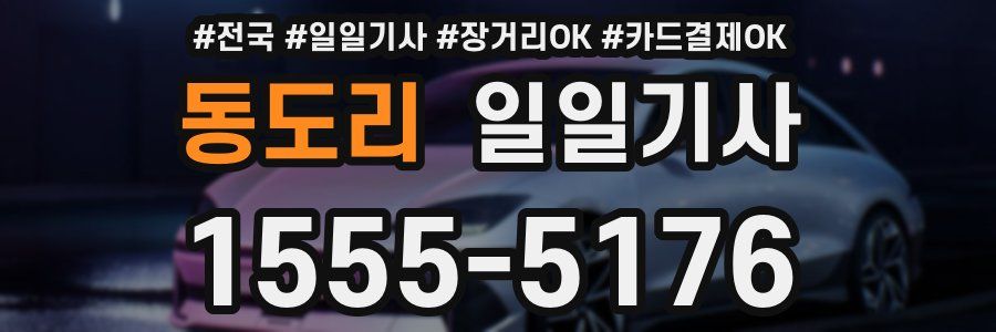 동도리 일일기사