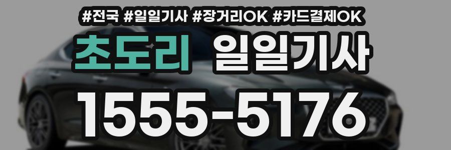 초도리 일일기사