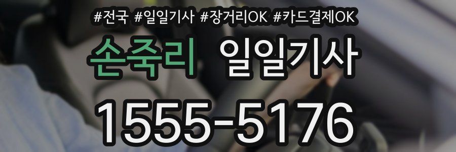 손죽리 일일기사